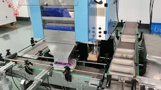 The one blood lancet counting machine with semi-automatic cartoning line for VC193-2