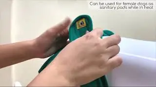 Stop Your Dog From Chewing Diapers! 🛑 Best Reusable Cotton Diaper