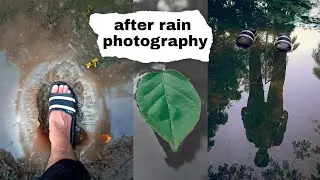 After Rain Photography Ideas | Monsoon Mobile Photography | Rain photography Ideas | by vk clicks