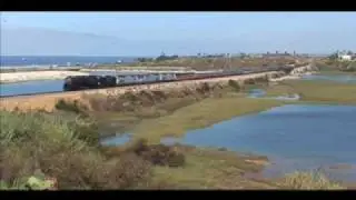 San Diegan Surfline Steam