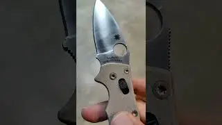 The OG cruwear spyderco