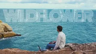 WILDFLOWER - Billie Eilish | LOFI Version on the Coast of PORTUGAL