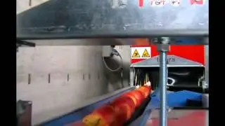 FUTURA - Apples grading line - electronic grader 1 lane