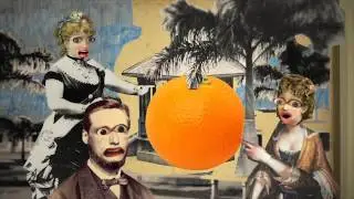 Alimente-se Bem: A Hist&oacute;ria dos Alimentos | Laranja