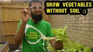 Aquaponics Farming Solution for Pakistan/ India (Alternative to Hydroponics) | Urdu Hindi Punjabi