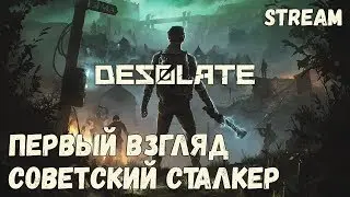 Советский сталкер! Первый взгляд! ► [DESOLATE]