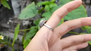 Cincin Perak 925 Permata Moldavite Tektite + Sertifikat