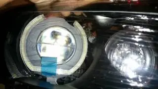 mount dtm corona halos