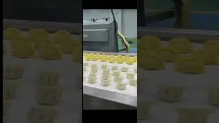 Perfect Dumplings Start with SoonTrue Dumpling Machines! 🥟✨
