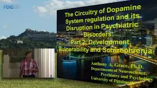 Anthony Grace on on The circuitry of dopamine system regulation - Part 2