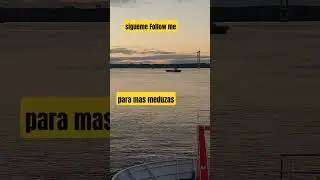 #medusa #mar #bridge #chacao #chilo&eacute; #followmeplease #sigueme