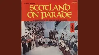 The De'il Amang the Tailors / The Soldier's Joy / The High Road To Linton