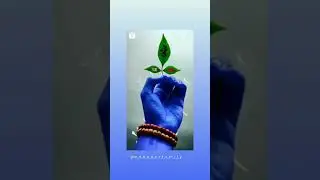 #tseriessongs