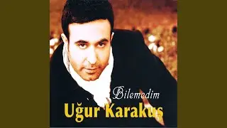 Vay Başıma