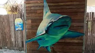 Venice Florida. Fishing Pier and Brohard Beach