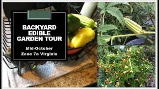 Mid-October Backyard Edible Garden Tour | Planning For Fall & Winter in the Garden