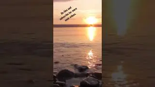Javed-Mohsin, Stebin Ben song #shorts