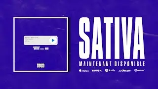 Mando - Sativa