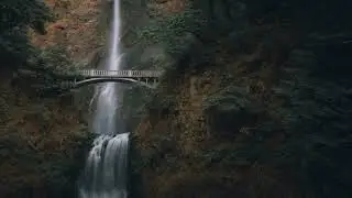 Serene Soundscapes: LoFi Ambient Bliss / LoFi Music / Cozy Lofi Tunes From Portland Oregon