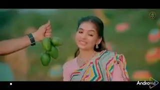 আম মিষ্টি জাম মিষ্টি তেঁতুল বড় টক গান homasa #love #trending