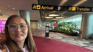 HANOI TO SINGAPORE SMOOTH LANDING| PLANE , BUS AT TRAIN TO GET HOME 