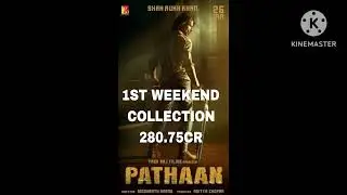 PATHAAN 6TH DAY BOX OFFICE COLLECTION UPDATE (SHAH RUKH KHAN) FASTEST 300CR MOVIE
