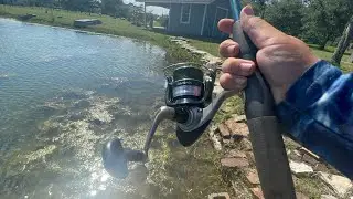 Daiwa strikeforce 2500-B | распаковка, обзор, намотка и рыбалка!