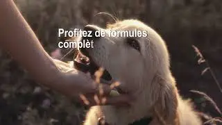 Mutuelle Chien Chat Pas Ch&egrave;re #chien #assurances #chat #animaux