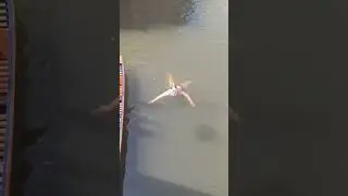 I Swam The River Cam to raise money for Music Therapy Charity in Cambridge