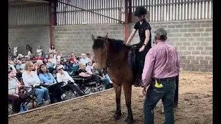 Scotland Horsemanship Demo!!
