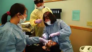 Pitt Dental Medicine Doctor of Dental Medicine (DMD) and Dental Hygiene (DH) Programs