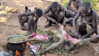 Discover Eating Wild Baboon, With Hadzabe tribe Bushmen.