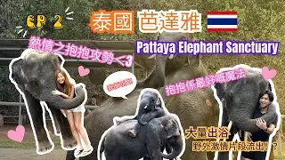 【Thailand Travel EP 2】Behind the Performance Lies Cruelty | Thailand Pattaya Elephant Sanctuary