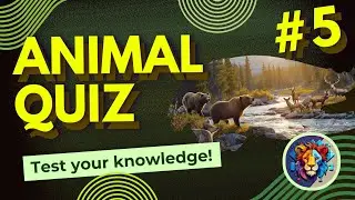 Animal Lovers: Try This Fun English Quiz! 5 | Enigmatic Questions