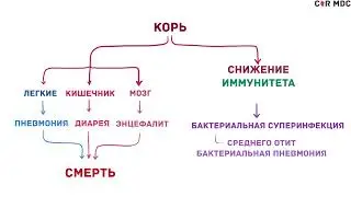 Корь:причины, симптомы, диагностика, лечение