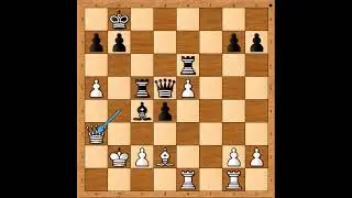 Kako je stezan obruč oko protivničkog Kralja 👍👑💣💣💣 KORNAISIEWICZ vs KARPOV #3054