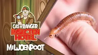 CAS ZIJN INSECTENHOTEL -  Miljoenpoot 🐛