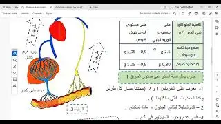 دور الكبد في النقل المغذيات/تحليل جدول #رابعة_متوسط #العلوم_الطبيعية #الجميع 