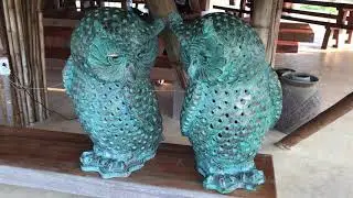 Eco Eyes Village (Thailand) Series 3
