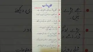 Short 10 Lines Essay on Television / Essay on T.V in Urdu