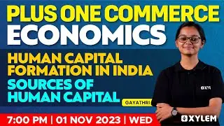 Plus One Economics - Human Capital Formation In India | Sources Of Human Capital | Xylem +1 Commerce