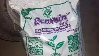 Magnesium Sulphate