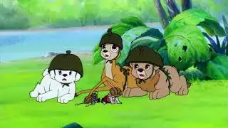 SIMBA THE KING LION | Survival Camp | Full Length Episode 24 | English [KIDFLIX]