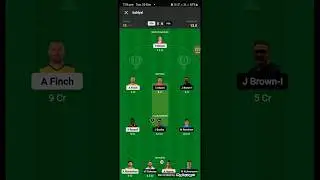 REN vs HEA Dream11, REN vs HEA Dream11 Prediction, Melbourne Renegades vs Brisbane Heat BBL Team