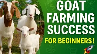 How to Succeed in Goat Farming | Mastering Goat Farming: A Beginner's Guide to Success | Masterclass