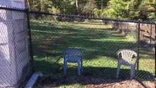 Trumbull Dog Park