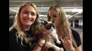 My special day with GRUMPY CAT!  -   May 22, 2014  💜
