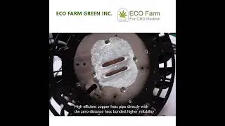 100W DIY SINGLE CREE COB LED GROW LIGHT