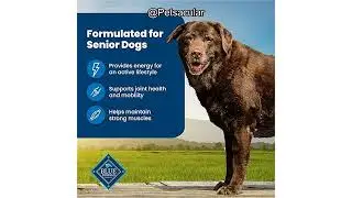 Blue Buffalo Life Protection Senior Dog Food Review: Is It Worth the Price for Joint Health?