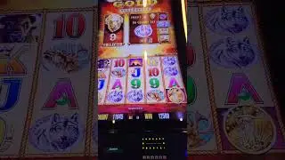 MJDixon Slot ep.2 #lasvegas #casino #slots #slotmachine